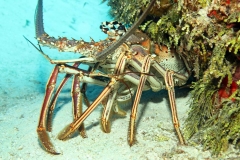 20452036_1636562909719536_82289216775064851_o