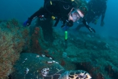 Scuba-Divers-with-Turtle