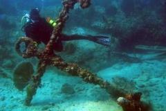 dive-site-spots-fort-lauderdale