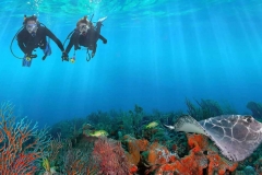 file_54522481-3384-4f5f-abc7-ebe7cd6b4542